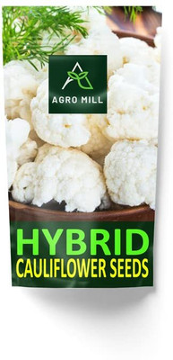 WILLVINE SCI -XII Hybrid Variety Pant Gobhi-2 Cauliflower [2.5g, 750 Seeds] Seed(750 per packet)