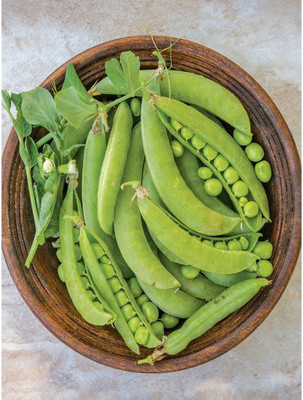 Quentova Super Sweet Peas Matar-NTL-11O Seed(20 per packet)