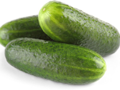 Avysa Cucumber Centella F1 Seed-CuC_640 Seed(100 per packet)