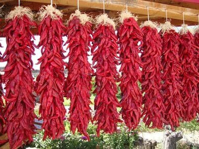 KNESSiN Hybrid Red Pepper Medium Vegetable Seeds For Planting-(2400 Seeds) Seed(2400 per packet)