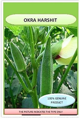 CRGO OKRA , BHINDI Seed(200 per packet)