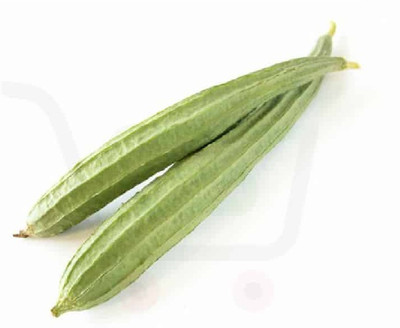 XOLDAA FI QUALITY RIDGE GOURD Seed(15 per packet)