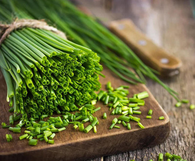 CYBEXIS VVI-55 - Allion Chives - (750 Seeds) Seed(750 per packet)