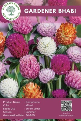 Gardener Bhabi Gomphrena Mixed Colour Flower Seeds All Season for Home Garden Seed(50 per packet)