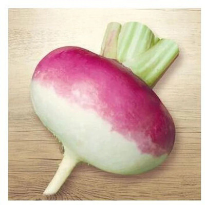 Avysa Organic - Purple Top White Globe Seed(2000 per packet)