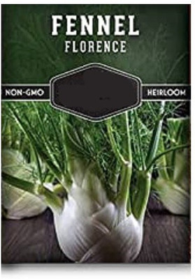 CYBEXIS Florence fennel2800 Seeds Seed(2800 per packet)