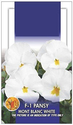 CYBEXIS Pansy Mr Fs Early Mixed F1 Seed(50 per packet)