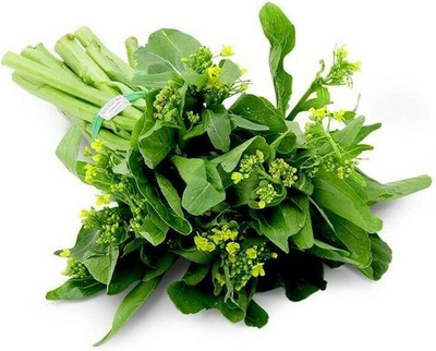 CYBEXIS TLX-92 - Mustard Yu Choy Sum - (750 Seeds) Seed(750 per packet)