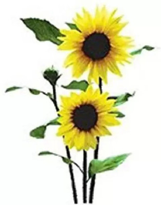 MAA Sunflower Seed(108 per packet)