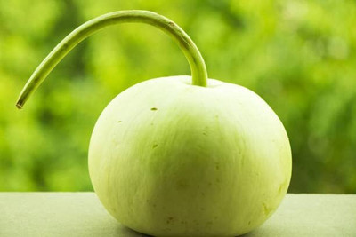 VibeX Round Bottle Gourd Lauki/Lau/Clabash-(50 Gms, 250 Seeds) Seed(250 per packet)