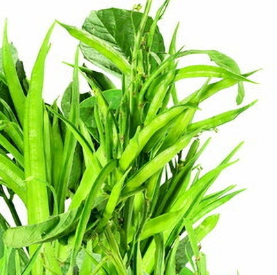 Oliver CLUSTER BEANS SEEDS Seed(31 per packet)