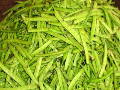 CHILLATAI Cluster Beans Seeds / Kothavarangai Seed(30 per packet)