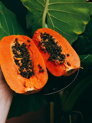 the green dotcom fresh red lady papaya fruit hybrid 50 seeds pack Seed(105 per packet)