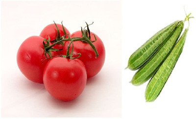 CYBEXIS Combo of Tomato and Ridge Gourd Seed(10 g)