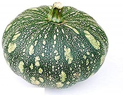 VibeX NDIR-51 - Pumpkin for Organic Farming - (300 Seeds) Seed(300 per packet)