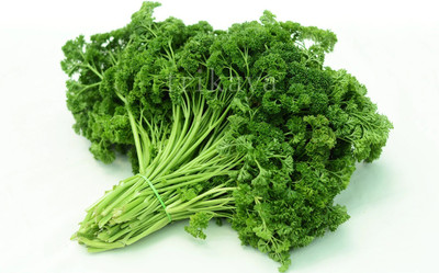Quentova PARSLEY CURLED-LNT-5D Seed(50 per packet)