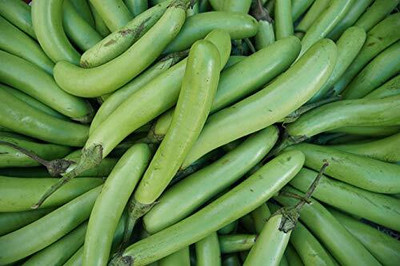 Aywal Begun Seed(50 per packet)