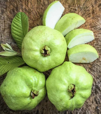 Aywal Guava Seed(15 per packet)