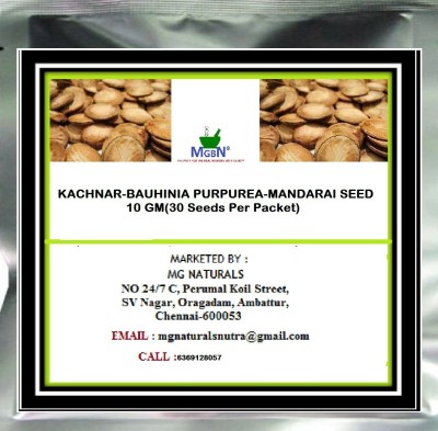 MGBN KACHNAR-BAUHINIA PURPUREA-MANDARAI SEED-10 GM Seed(30 per packet)