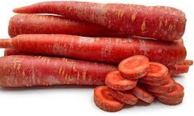 RUDAN Atomic Red Carrot Seed(500 per packet)