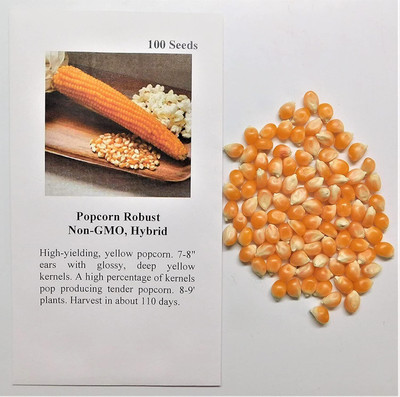 WILLVINE SCI -VIII Popcorn Robust (Yellow)-[25g] Seed(100 per packet)