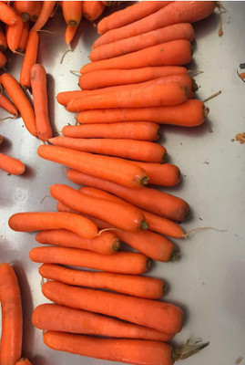 ZIFR Carrot - Orange Vegetable Seed(300 per packet)