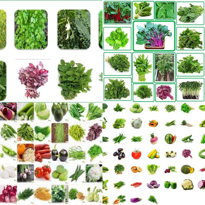 ibains f1 hybrid vegetable seeds biij 208 Seed(208 per packet)