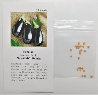 Qualtivate HYB-7A Brinjal Nadia (Black) Seed(300 per packet)