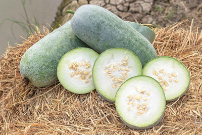 Cloud Farm Ash Gourd Vegetable For Planting Home Seed(61 per packet)