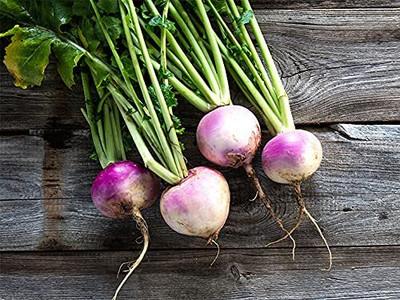 Aywal Turnip / Salgam Seed(100 per packet)