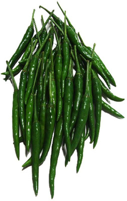 KNESSiN Green Hot Chilli seed Seed(200 per packet)