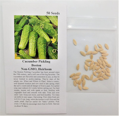 VibeX GBPUT-10 - Cucumber Pickling Boston(Green) - (1350 Seeds) Seed(1350 per packet)