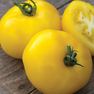VibeX PAU-28 - Yellow Beefsteak Slicing Tomato - (450 Seeds) Seed(450 per packet)