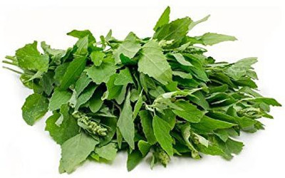CYBEXIS Vegetable Bathua Saag(बथुआ साग) seeds For Home & Gardening Winter (250 Seeds) Seed(250 per packet)