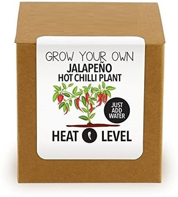 CRGO SEEDS KIT Seed(28 per packet)