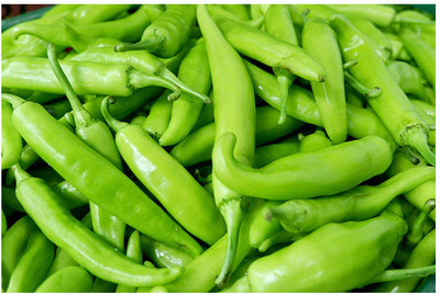 granthi Big Green Chili हरी मिर्च Seed(500 per packet)