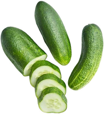 CYBEXIS Seeds for Home - Cucumber Seeds2000 Seeds Seed(2000 per packet)