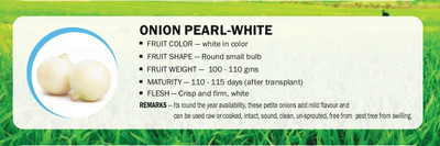 VibeX ONION PEARL-WHITE(5000 Seeds) Seed(5000 per packet)