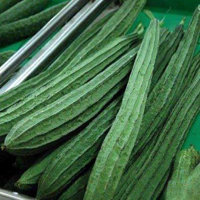 Aywal Ridge gourd (courge torchon) Seed(100 per packet)