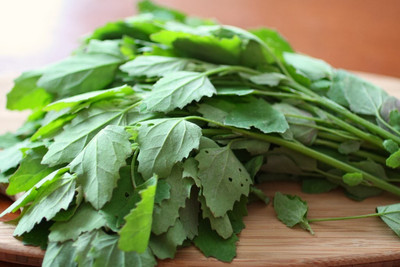 RISTO Chenopodium Bathua Seed(220 per packet)
