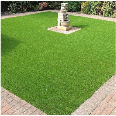 ibains Lawn grass seeds grown in shade Seed(9600 per packet)