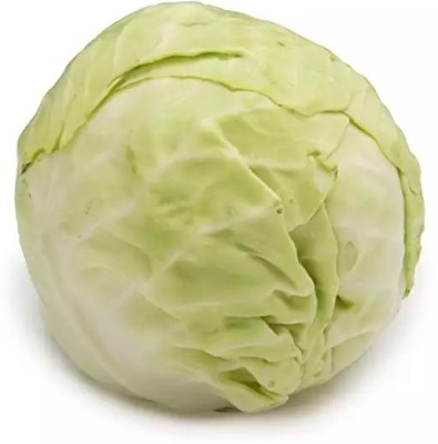 MYLAWN Organic green cabbage (पत्ता गोभी के बीज) Seed(100 per packet)