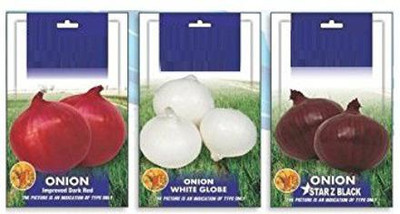 VibeX CBZ-9-Onion Improved Variety 3-TYPES Seeds Combo Seed(105 per packet)