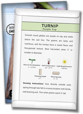 Quentova Purple Top Turnip 1g-AJ-9U Seed(350 per packet)