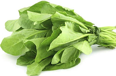 BDSresolve desi palak seeds for home garden/palak seeds 800 Seed(800 per packet)