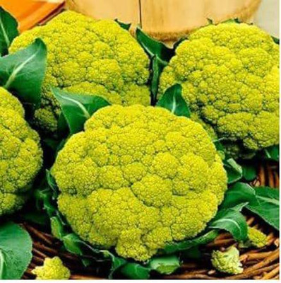 Aywal F1 Hybrid Green Cauliflower Vegetable Seed(160 per packet)