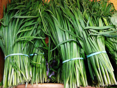 Qualtivate HUA-2A GARLIC CHIVE Allium Tuberosum Seed(300 per packet)