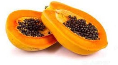 Quentova Sweet Papaya Carica papaya Seed-VXL-2I Seed(50 per packet)