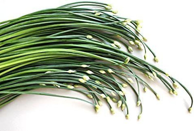 CYBEXIS ATS-50 - Garlic(Chinese) chives - (2250 Seeds) Seed(2250 per packet)