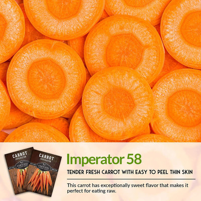 CYBEXIS PUAS-94 - Imperator 58 Carrot - (2250 Seeds) Seed(2250 per packet)